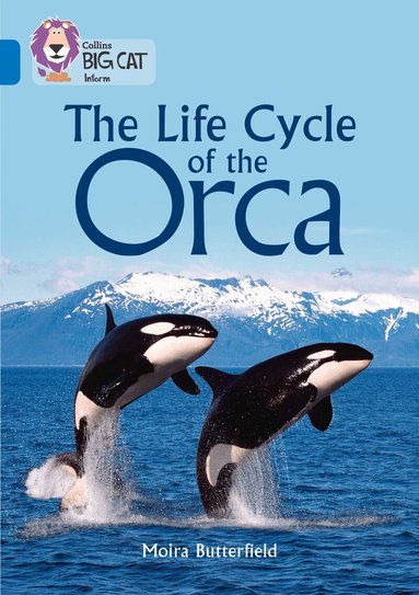 Moira Butterfield - Life Cycle of the Orca, Häftad