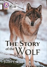 bokomslag The Story of the Wolf