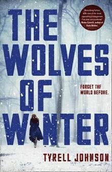bokomslag Wolves of Winter