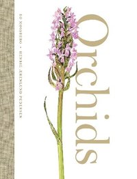bokomslag Orchids