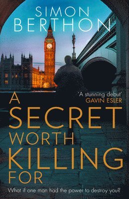 bokomslag Secret Worth Killing For