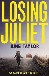 bokomslag Losing Juliet