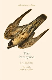 bokomslag Peregrine: 50th anniversary edition - afterword by robert macfarlane