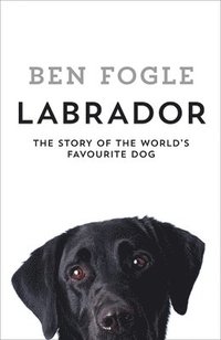 bokomslag Labrador