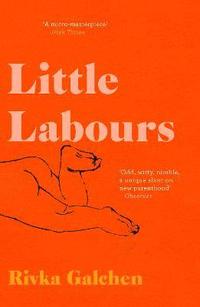 bokomslag Little Labours