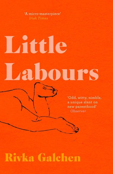 bokomslag Little Labours