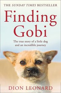 bokomslag Finding Gobi (Main edition)