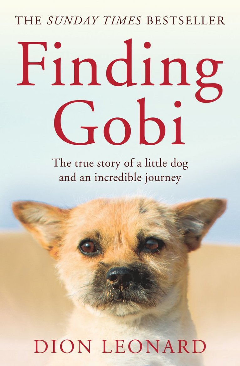 Finding Gobi (Main edition) 1