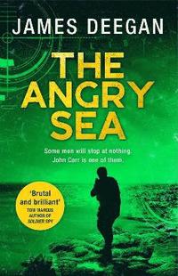 bokomslag The Angry Sea