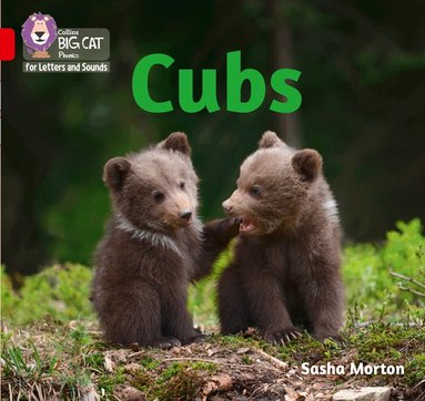 Sasha Morton - Cubs, Häftad
