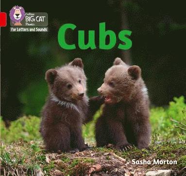 bokomslag Cubs