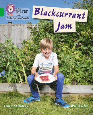 bokomslag Blackcurrant Jam