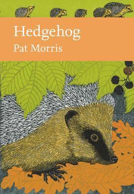 Hedgehog 1