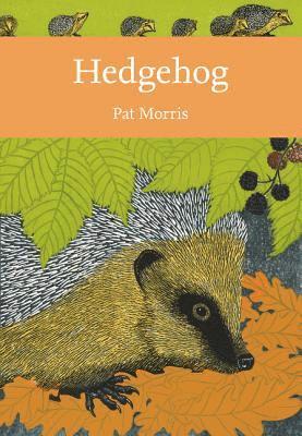 Hedgehog 1