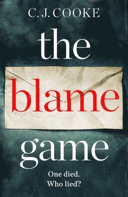 bokomslag Blame Game