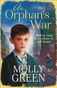 bokomslag An Orphans War
