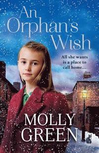 bokomslag An Orphans Wish