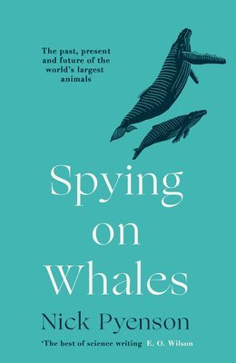 Spying on Whales 1