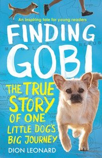 bokomslag Finding Gobi (Younger Readers edition)