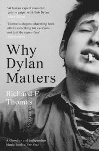 bokomslag Why Dylan Matters