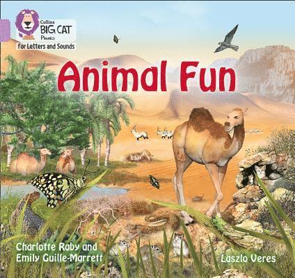 Animal Fun 1
