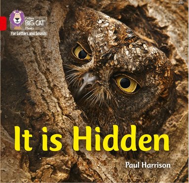 Paul Harrison - It is Hidden, Häftad