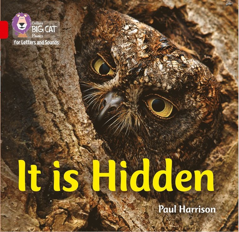 It is Hidden 1