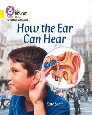 bokomslag How the Ear Can Hear