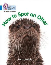 bokomslag How to Spot an Otter