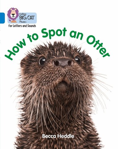 Becca Heddle - How to Spot an Otter, Häftad