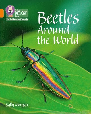 Beetles Around the World 1