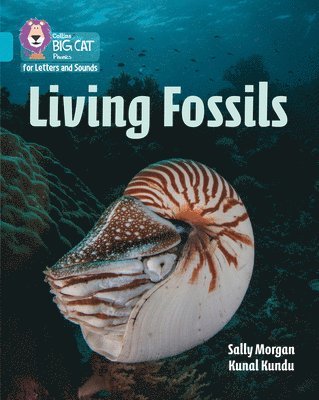 bokomslag Living Fossils