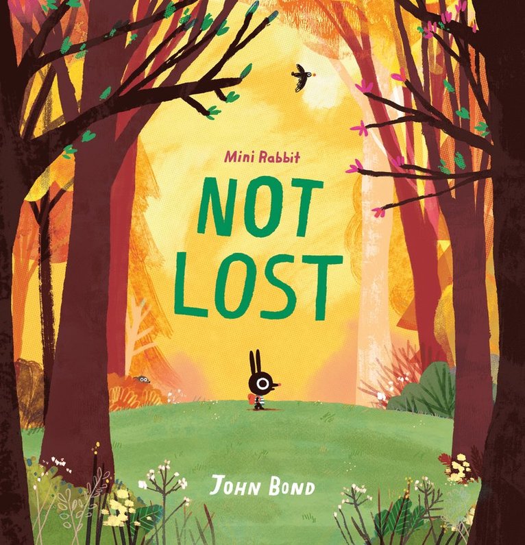 John Bond - Mini Rabbit Not Lost, Häftad