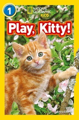 Play, Kitty! 1