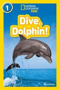 bokomslag Dive, Dolphin!