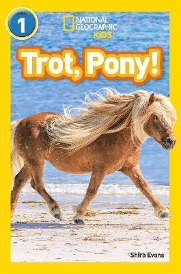 Trot, Pony! 1