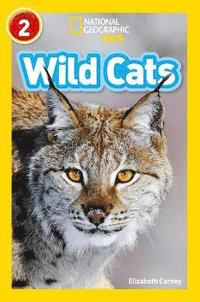 bokomslag Wild Cats