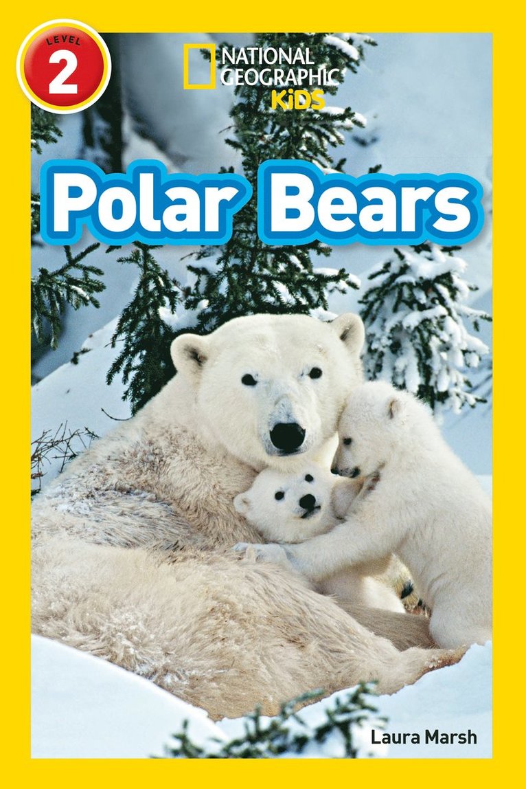 Polar Bears 1