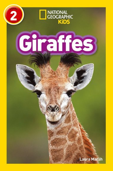 bokomslag Giraffes
