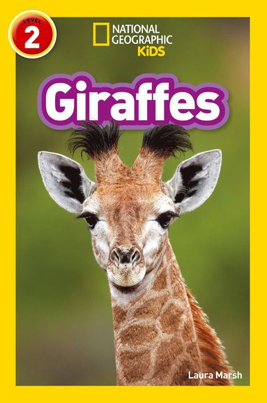 bokomslag Giraffes