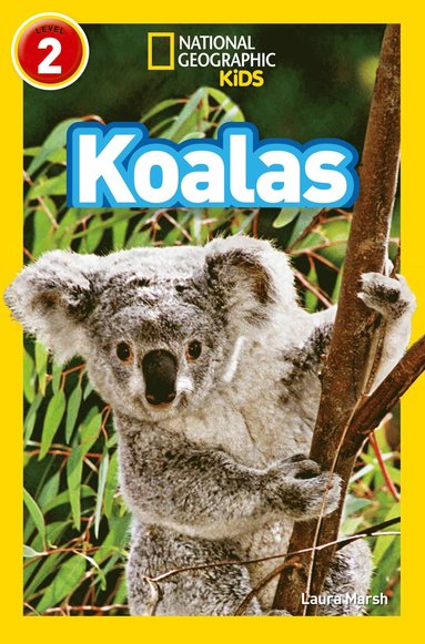 bokomslag Koalas