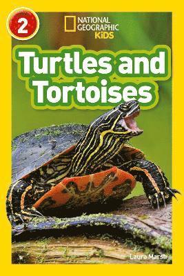 bokomslag Turtles and Tortoises