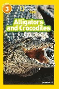 bokomslag Alligators and Crocodiles