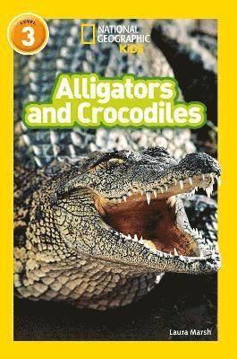 Alligators and Crocodiles 1