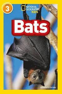 bokomslag Bats