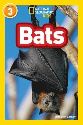 bokomslag Bats