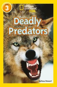 bokomslag Deadly Predators