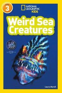 bokomslag Weird Sea Creatures