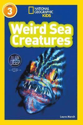 bokomslag Weird Sea Creatures
