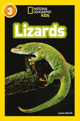 Lizards 1